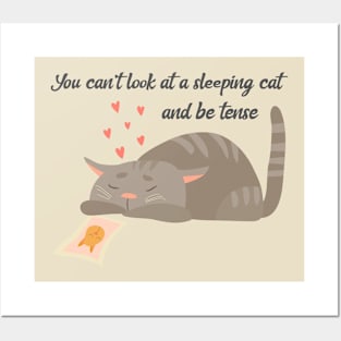 You can't look at a sleeping cat and be tense Posters and Art